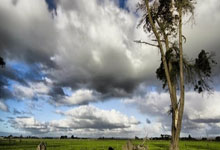 奥斯纽布鲁克队接连获胜，势不可挡地锁定冠军宝座