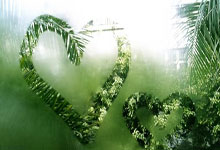 精彩不断，足球盛宴令人瞩目