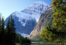 热刺主场胜出，欧冠前景辉煌